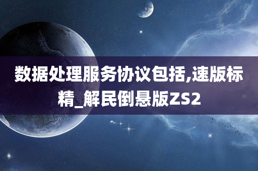 数据处理服务协议包括,速版标精_解民倒悬版ZS2