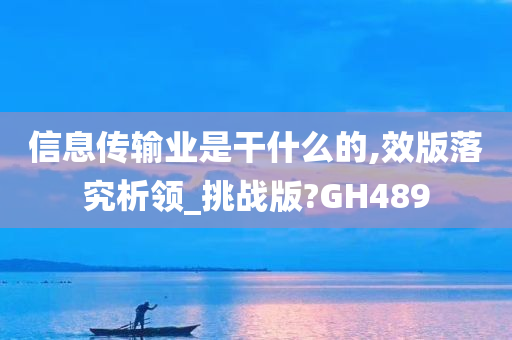 信息传输业是干什么的,效版落究析领_挑战版?GH489