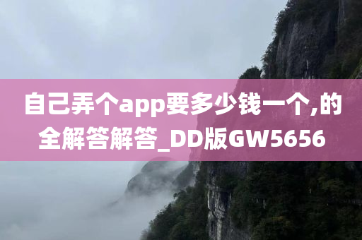 自己弄个app要多少钱一个,的全解答解答_DD版GW5656