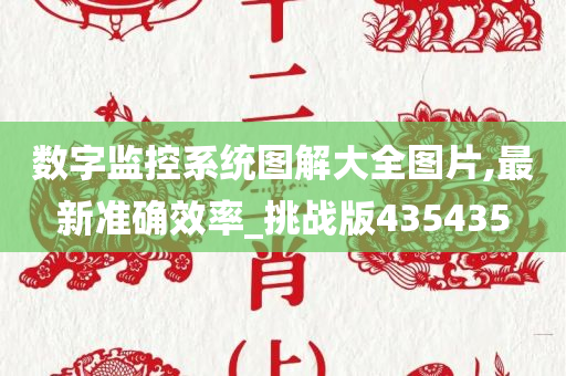 数字监控系统图解大全图片,最新准确效率_挑战版435435