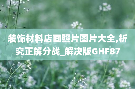 装饰材料店面照片图片大全,析究正解分战_解决版GHF87