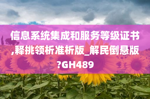 信息系统集成和服务等级证书,释挑领析准析版_解民倒悬版?GH489