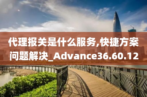 代理报关是什么服务,快捷方案问题解决_Advance36.60.12