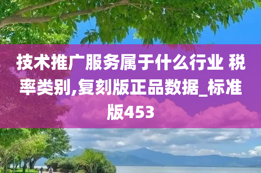 技术推广服务属于什么行业 税率类别,复刻版正品数据_标准版453