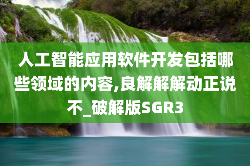 人工智能应用软件开发包括哪些领域的内容,良解解解动正说不_破解版SGR3