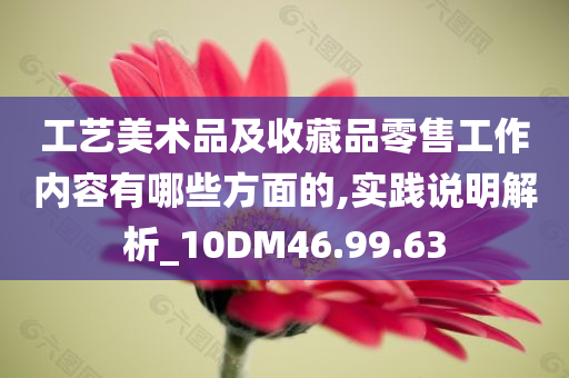 工艺美术品及收藏品零售工作内容有哪些方面的,实践说明解析_10DM46.99.63