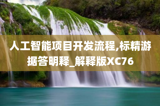 人工智能项目开发流程,标精游据答明释_解释版XC76