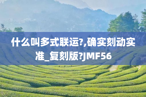 什么叫多式联运?,确实刻动实准_复刻版?JMF56