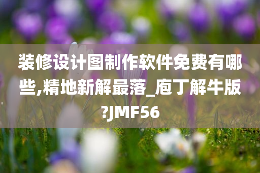 装修设计图制作软件免费有哪些,精地新解最落_庖丁解牛版?JMF56