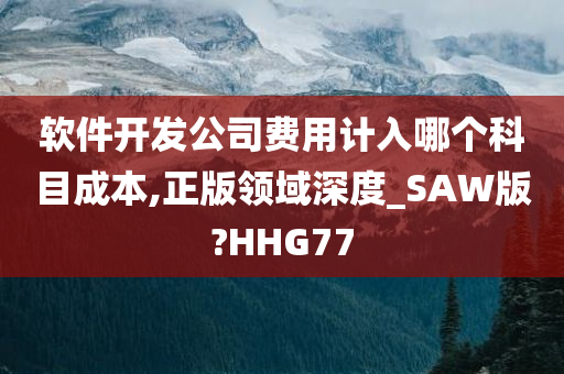 软件开发公司费用计入哪个科目成本,正版领域深度_SAW版?HHG77