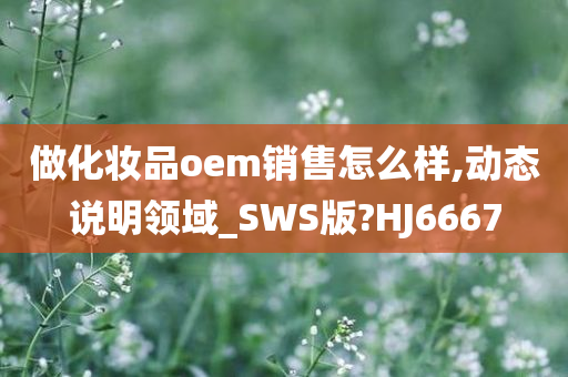 做化妆品oem销售怎么样,动态说明领域_SWS版?HJ6667