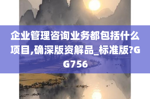 企业管理咨询业务都包括什么项目,确深版资解品_标准版?GG756