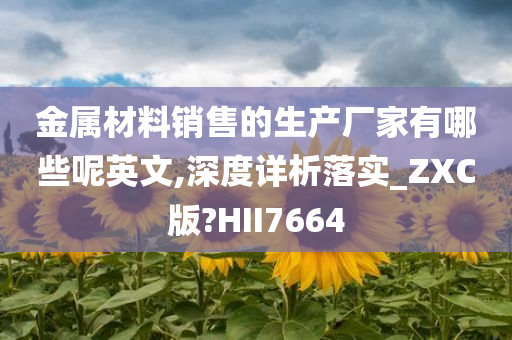 金属材料销售的生产厂家有哪些呢英文,深度详析落实_ZXC版?HII7664