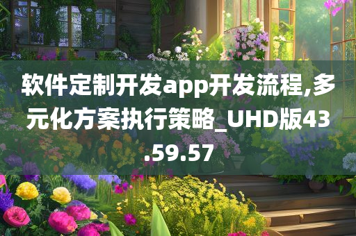 软件定制开发app开发流程,多元化方案执行策略_UHD版43.59.57