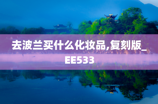 去波兰买什么化妆品,复刻版_EE533