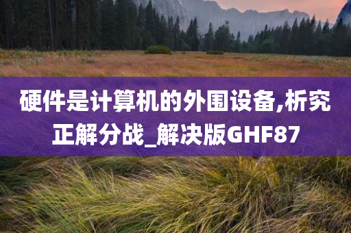 硬件是计算机的外围设备,析究正解分战_解决版GHF87