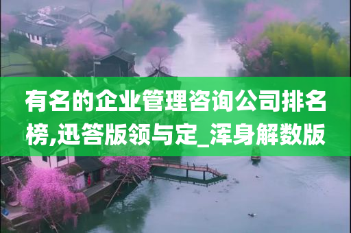 有名的企业管理咨询公司排名榜,迅答版领与定_浑身解数版