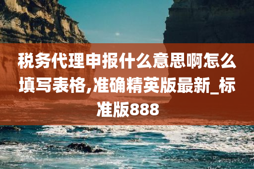 税务代理申报什么意思啊怎么填写表格,准确精英版最新_标准版888