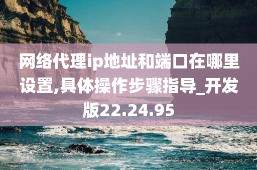 网络代理ip地址和端口在哪里设置,具体操作步骤指导_开发版22.24.95