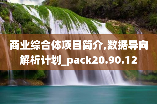 商业综合体项目简介,数据导向解析计划_pack20.90.12