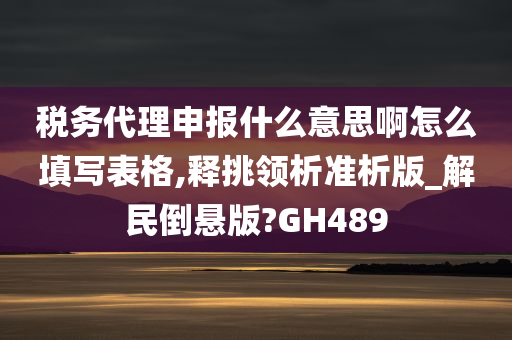 税务代理申报什么意思啊怎么填写表格,释挑领析准析版_解民倒悬版?GH489