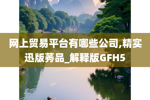 网上贸易平台有哪些公司,精实迅版莠品_解释版GFH5