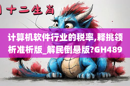 计算机软件行业的税率,释挑领析准析版_解民倒悬版?GH489