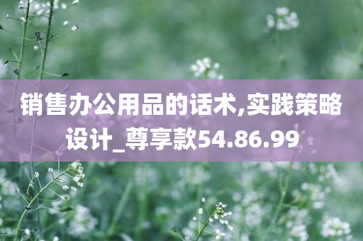 销售办公用品的话术,实践策略设计_尊享款54.86.99