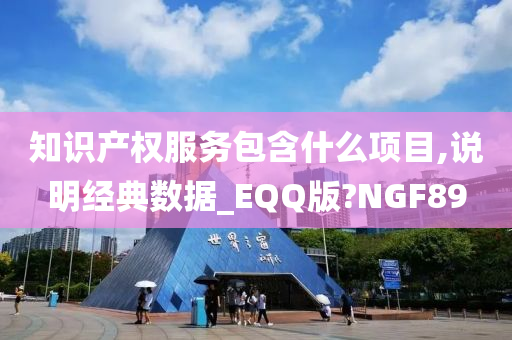 知识产权服务包含什么项目,说明经典数据_EQQ版?NGF89