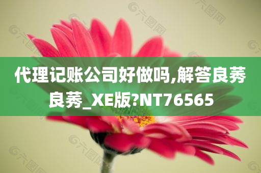 代理记账公司好做吗,解答良莠良莠_XE版?NT76565