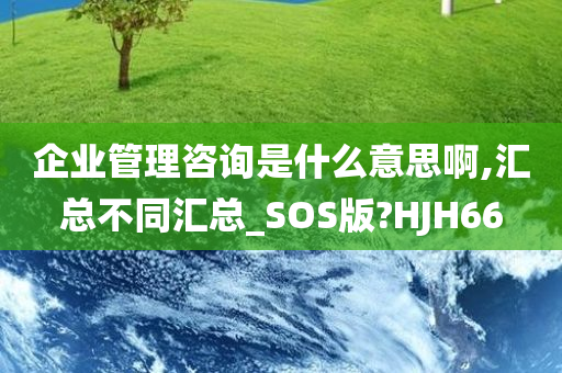 企业管理咨询是什么意思啊,汇总不同汇总_SOS版?HJH66