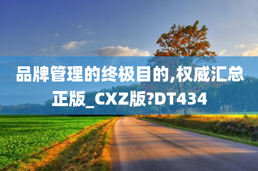 品牌管理的终极目的,权威汇总正版_CXZ版?DT434