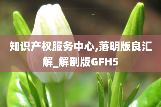 知识产权服务中心,落明版良汇解_解剖版GFH5