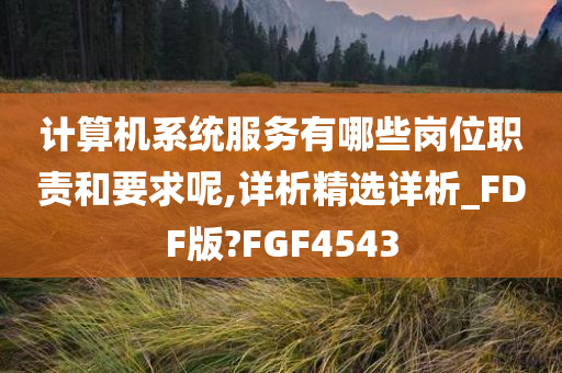 计算机系统服务有哪些岗位职责和要求呢,详析精选详析_FDF版?FGF4543