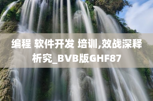 编程 软件开发 培训,效战深释析究_BVB版GHF87