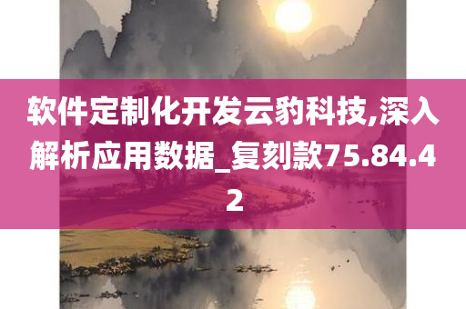 软件定制化开发云豹科技,深入解析应用数据_复刻款75.84.42