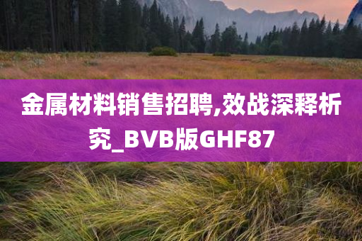 金属材料销售招聘,效战深释析究_BVB版GHF87