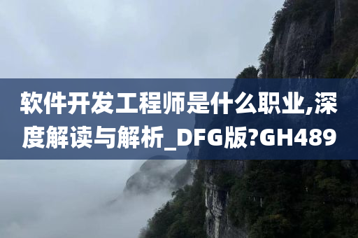 软件开发工程师是什么职业,深度解读与解析_DFG版?GH489