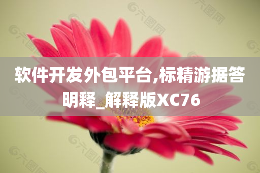 软件开发外包平台,标精游据答明释_解释版XC76