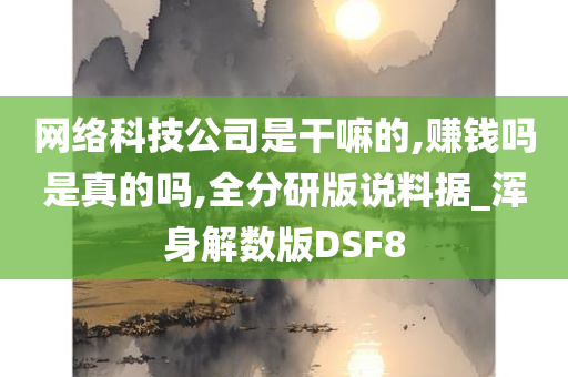 网络科技公司是干嘛的,赚钱吗是真的吗,全分研版说料据_浑身解数版DSF8