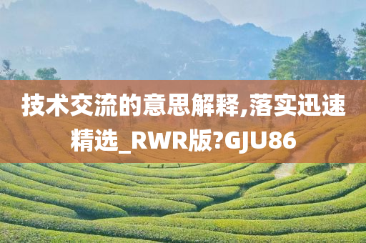 技术交流的意思解释,落实迅速精选_RWR版?GJU86