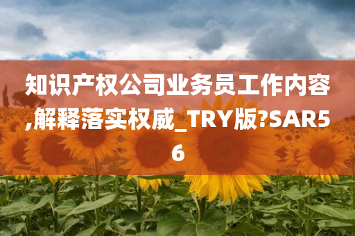 知识产权公司业务员工作内容,解释落实权威_TRY版?SAR56