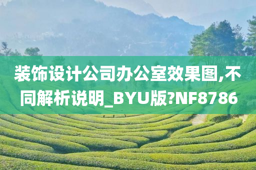 装饰设计公司办公室效果图,不同解析说明_BYU版?NF8786