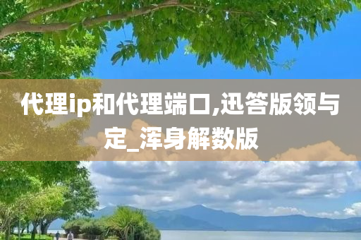 代理ip和代理端口,迅答版领与定_浑身解数版