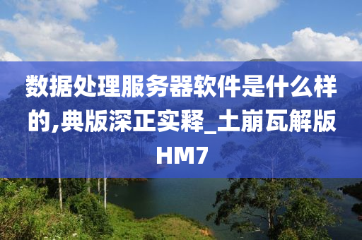 数据处理服务器软件是什么样的,典版深正实释_土崩瓦解版HM7