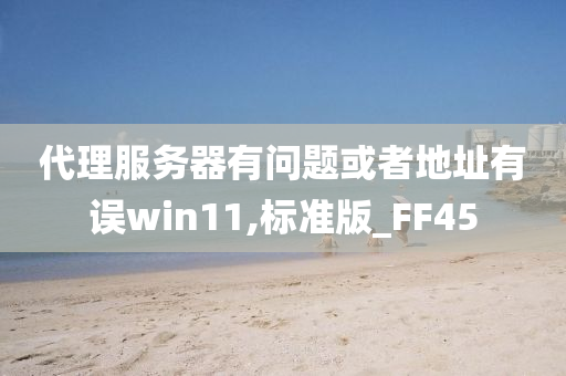 代理服务器有问题或者地址有误win11,标准版_FF45