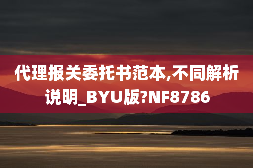 代理报关委托书范本,不同解析说明_BYU版?NF8786