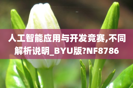 人工智能应用与开发竞赛,不同解析说明_BYU版?NF8786