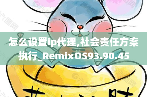 怎么设置ip代理,社会责任方案执行_RemixOS93.90.45