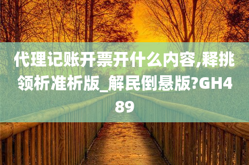 代理记账开票开什么内容,释挑领析准析版_解民倒悬版?GH489